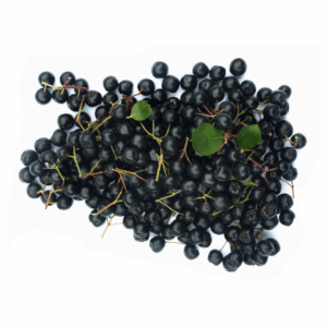 Aroniabeeren, Schale 500g