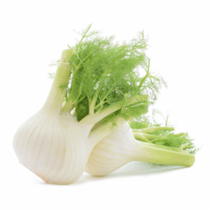 Fenchel
