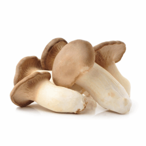 Pilze Kräuterseitling